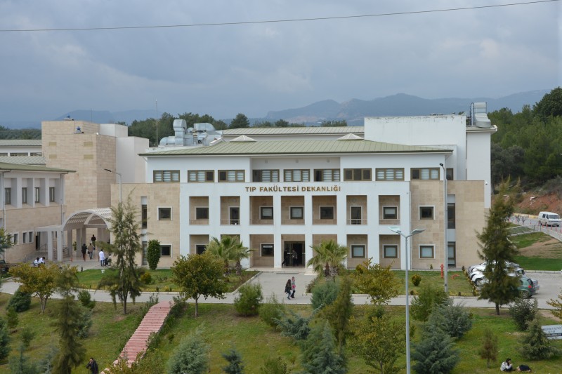 Genel Görünüm