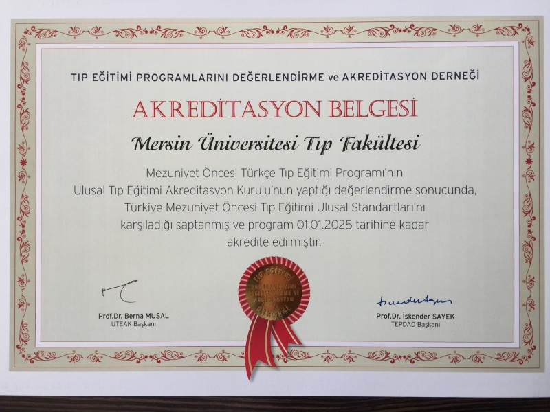 Genel Görünüm