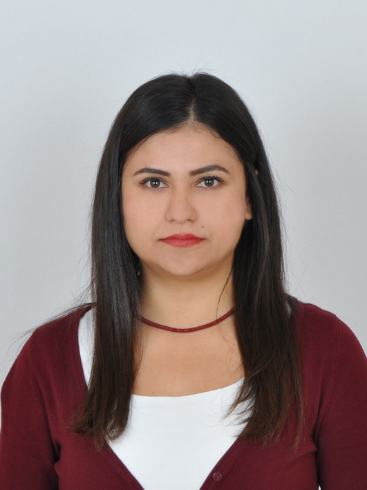 SUDE DEMİRSOY